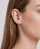 Dual-Tone Stud Earrings -