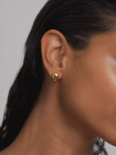 Bean-Shaped Stud Earrings