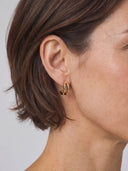 Curved Stud Earrings