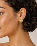 Wire-Brushed Ball Earrings -